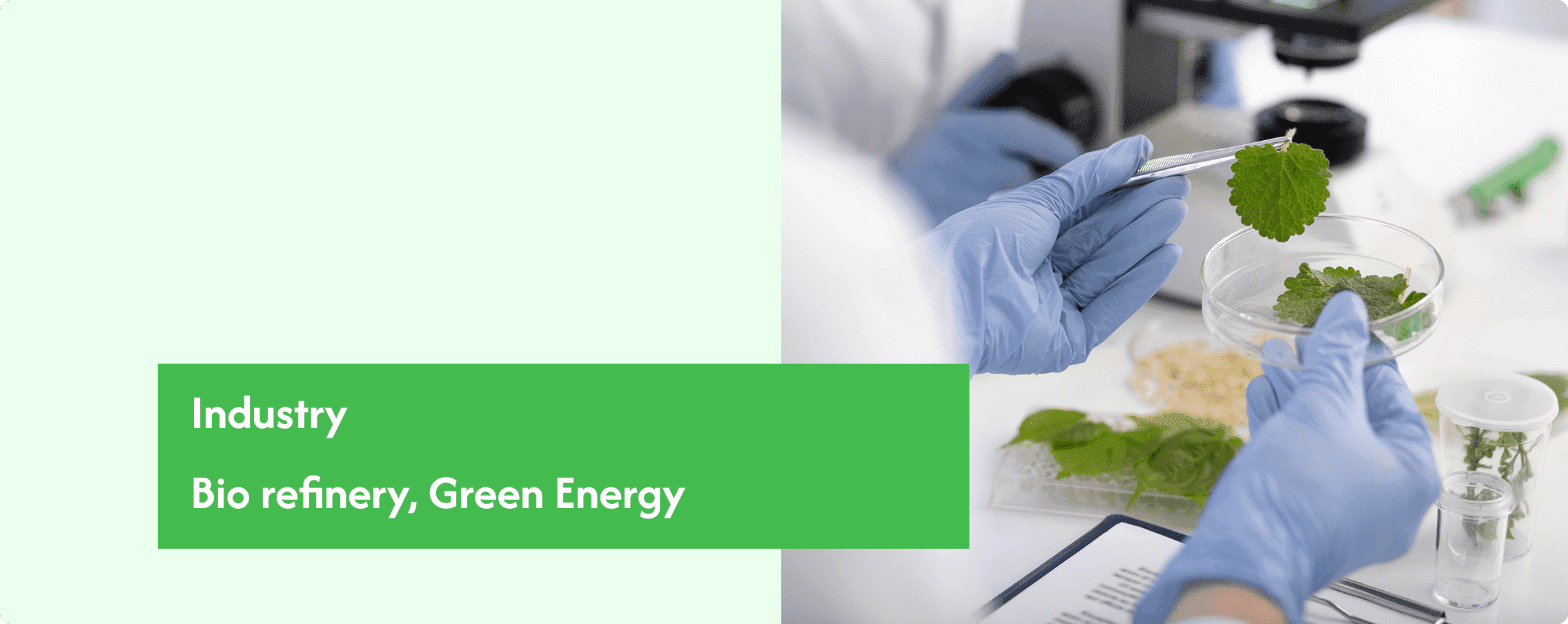 Bio refinery Green Energy